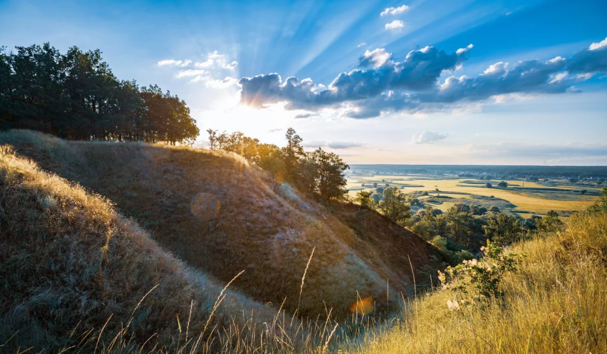 Bazy Danych o produktach i opakowaniach oraz o gospodarce Odpadami w Gracji - HMA: Klucz do Zrównoważonej Przyszłości