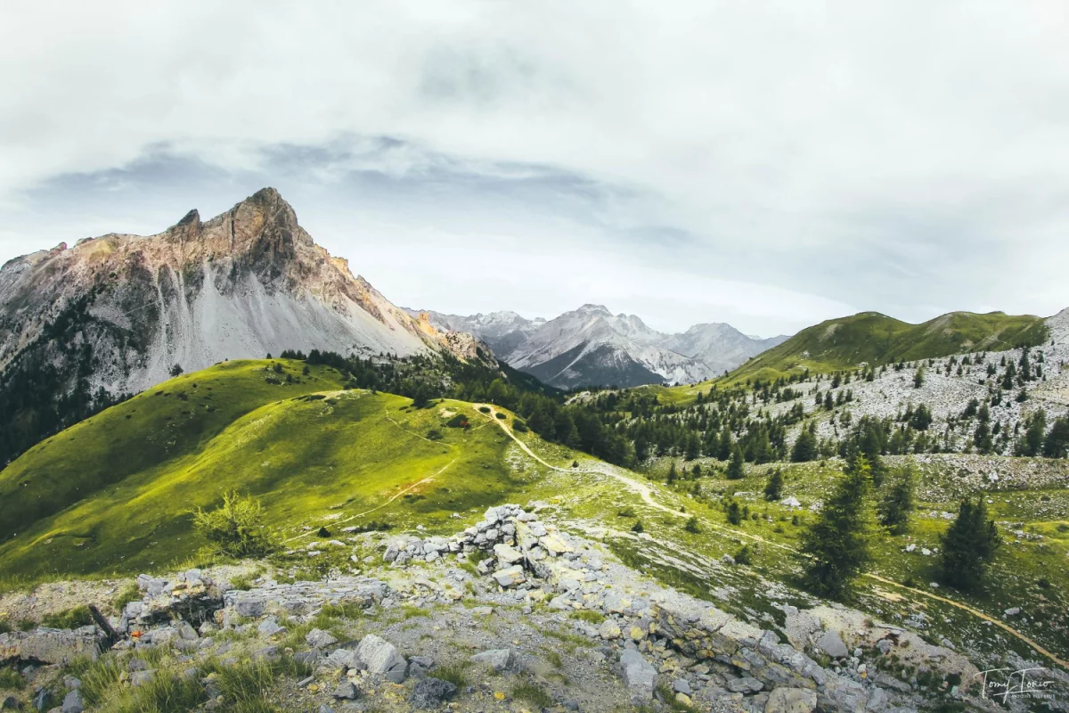 Dieta wegańska – co warto wiedzieć?