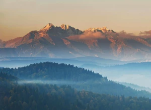 BDO dla producenta komputerów: Kluczowe wyzwania i możliwości w zarządzaniu danymi