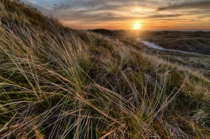 Ochrona środowiska dla firm fitness: Jak branża fitness może przyczynić się do lepszej przyszłości naszej planety